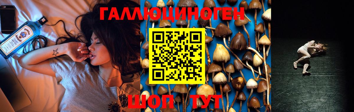 Псилоцибиновые грибы мицелий Дубна